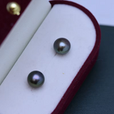 Freshwater Pearl Stud Earrings