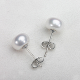 Freshwater Pearl Stud Earrings