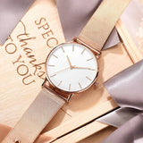 Minimalist Stainless Steel Mesh Quartz Watch